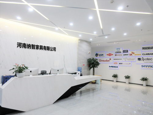河南纳智家具