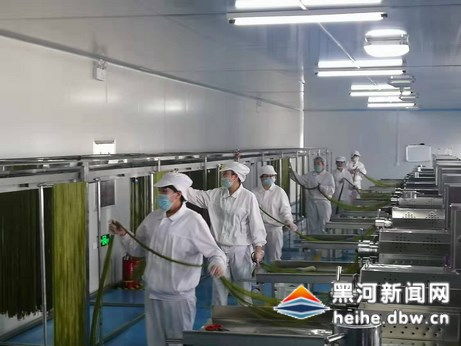 小小黄豆粒成就健康大产业