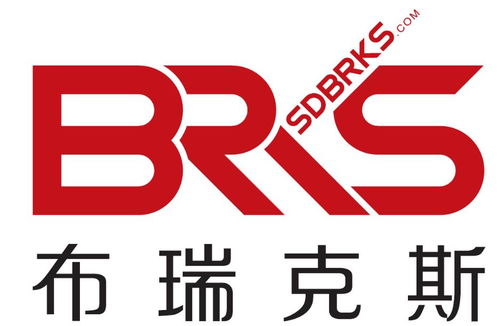 山东布瑞克斯汽车零部件