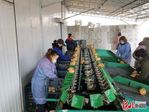 涿州市市场监管局为企排忧解难题
