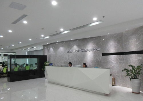 成都瓦尔塔商贸公司简介